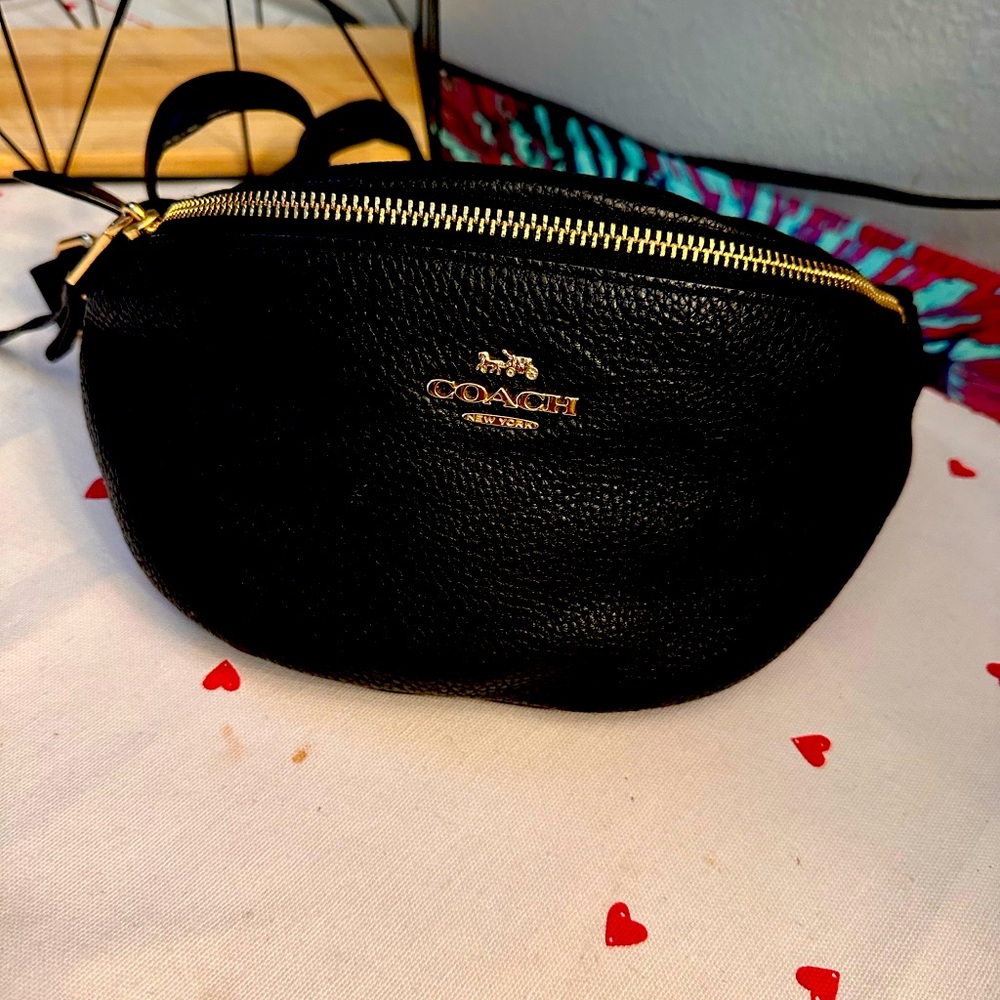 Coach belt bag